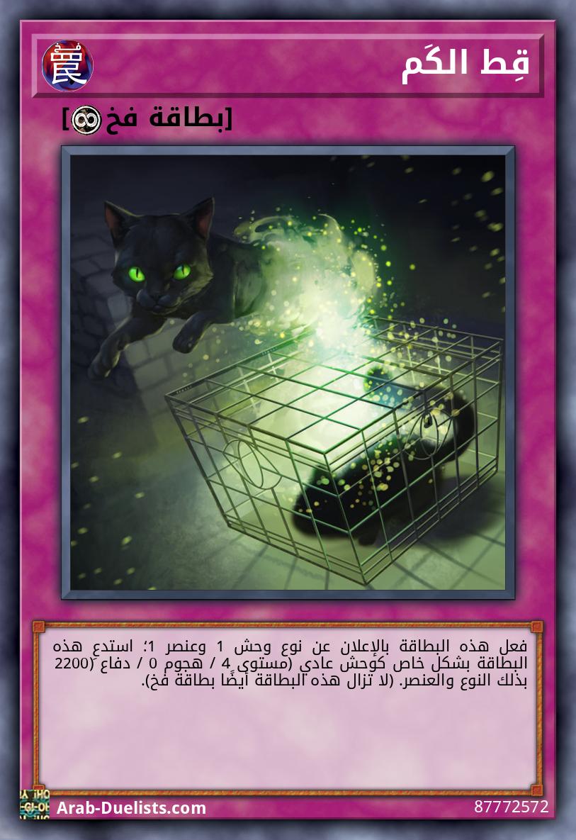 قِط الكَم